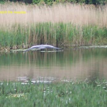 Hetton Lyons Country Park - Recreation Centers Near Me - Houghton le Spring, XTW Hetton Lyons Country Park - Recreation Centers Near Me - Houghton le Spring, XTW