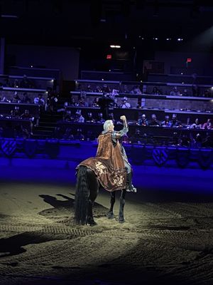 Medieval Times Dinner & Tournament by null