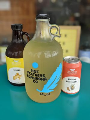 Fine Feathers Kombucha Company by null