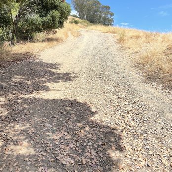Hillside Natural Area - Parks Near Me - El Cerrito, California