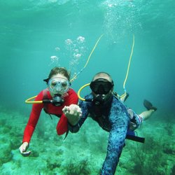 VI SNUBA Excursions on St. Thomas - Snuba Excursions at Coki beach St Thomas!!