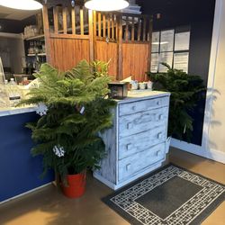 Boba Cafe