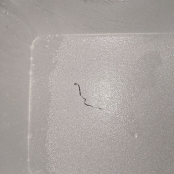 Makiboy - Piece of metal I found in my spicy tofu soup with beef - Asian Fusion Near Me - Irving, Texas Makiboy - Piece of metal I found in my spicy tofu soup with beef - Asian Fusion Near Me - Irving, Texas