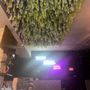 Photo of Eden The Lounge