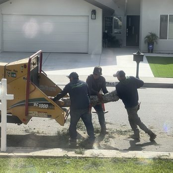 Ceron Landscaping - Tree Services Near Me Ceron Landscaping - Tree Services Near Me
