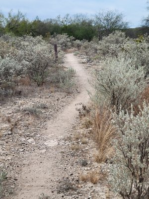 Amistad National Recreation Area by null