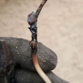 SD Electric Technologies - Electricians Near Me - Chula Vista, California