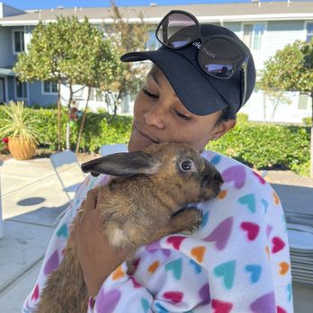 Bunny Gurus - Petting Zoos Near Me