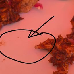 Hair in food