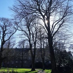 Jardin Public Commandant Billot - Le jardin public de Guingamp