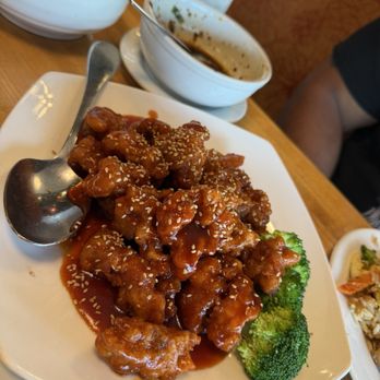 Judy's Sichuan Cuisine - Crunchy Sesame Chicken - Szechuan Near Me - Chesapeake, Virginia Judy's Sichuan Cuisine - Crunchy Sesame Chicken - Szechuan Near Me - Chesapeake, Virginia