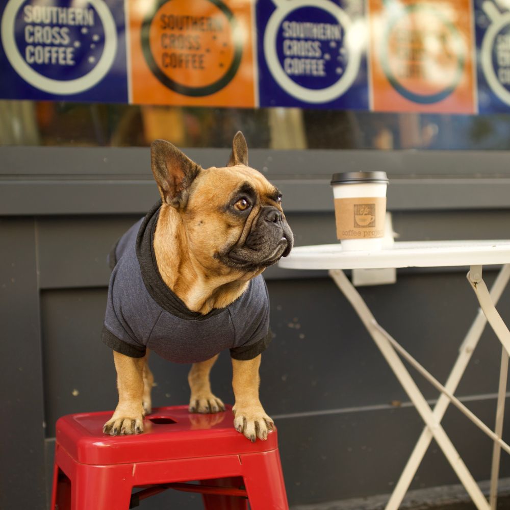 Love Thy Beast - Love Thy Beast Tee - Pet Stores Near Me - Brooklyn, New York Love Thy Beast - Love Thy Beast Tee - Pet Stores Near Me - Brooklyn, New York