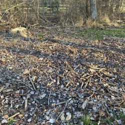 user provided Anthony Landscaping & Tree Service photo