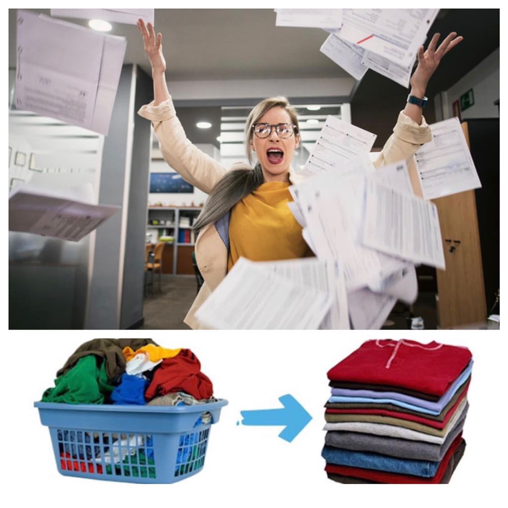 ON THE GO DRY CLEANERS Updated June 2024 17 Photos Davie, Florida