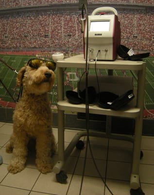 Feeder Creek Veterinary Service Veterinarians 12575 Lancaster
