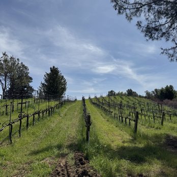 Muns Vinyard - Wineries Near Me - Los Gatos, California
