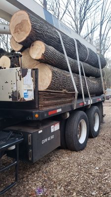 Log Clearing Services - Safety comes first when dealing with heavy logs and equipment!