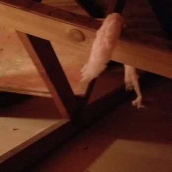 Attic Guys - Pest Control Near Me - Anaheim, California Attic Guys - Pest Control Near Me - Anaheim, California