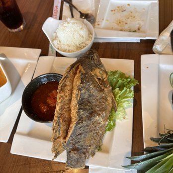 Thaicoon - 3 THREE COINS FISH TILAPIA - Thai Near Me - Katy, Texas