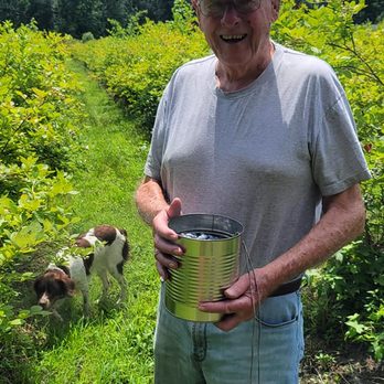 Clement Blueberry Farm - Pick Your Own Farms Near Me - Pemberton, New Jersey