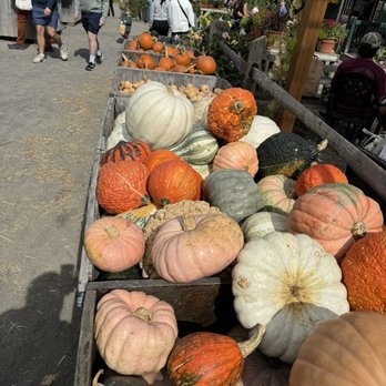 Russell Orchards - Farmers Market Near Me - Ipswich, Massachusetts Russell Orchards - Farmers Market Near Me - Ipswich, Massachusetts