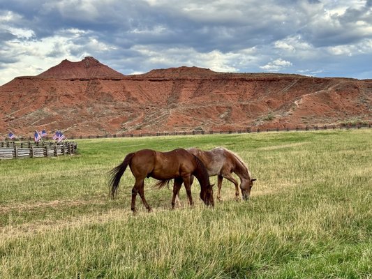 Red Cliffs Lodge Moab by null