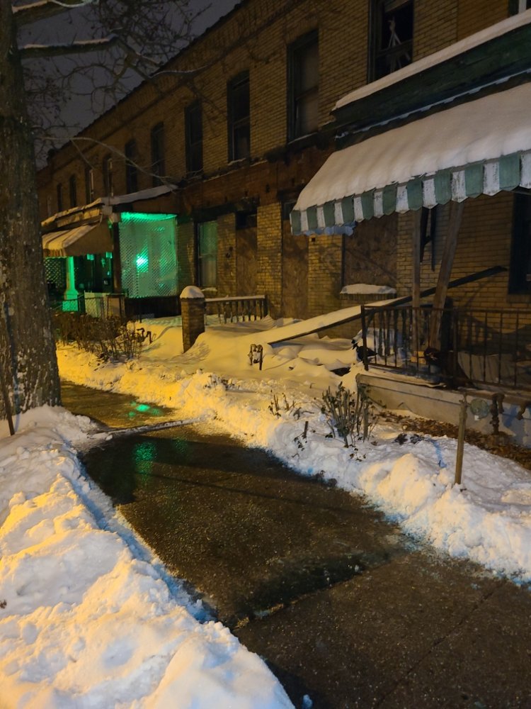 Tender Loving Lawn Care Services - tree service in Pittsburgh, PA