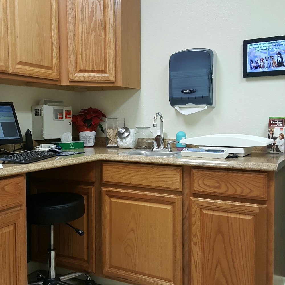 Advanced Animal Care - Patient room II - Veterinarians Near Me - Fort Mohave, Arizona Advanced Animal Care - Patient room II - Veterinarians Near Me - Fort Mohave, Arizona