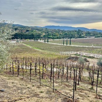 Cougar Vineyard & Winery - View from the patio - Wineries Near Me - Temecula, California