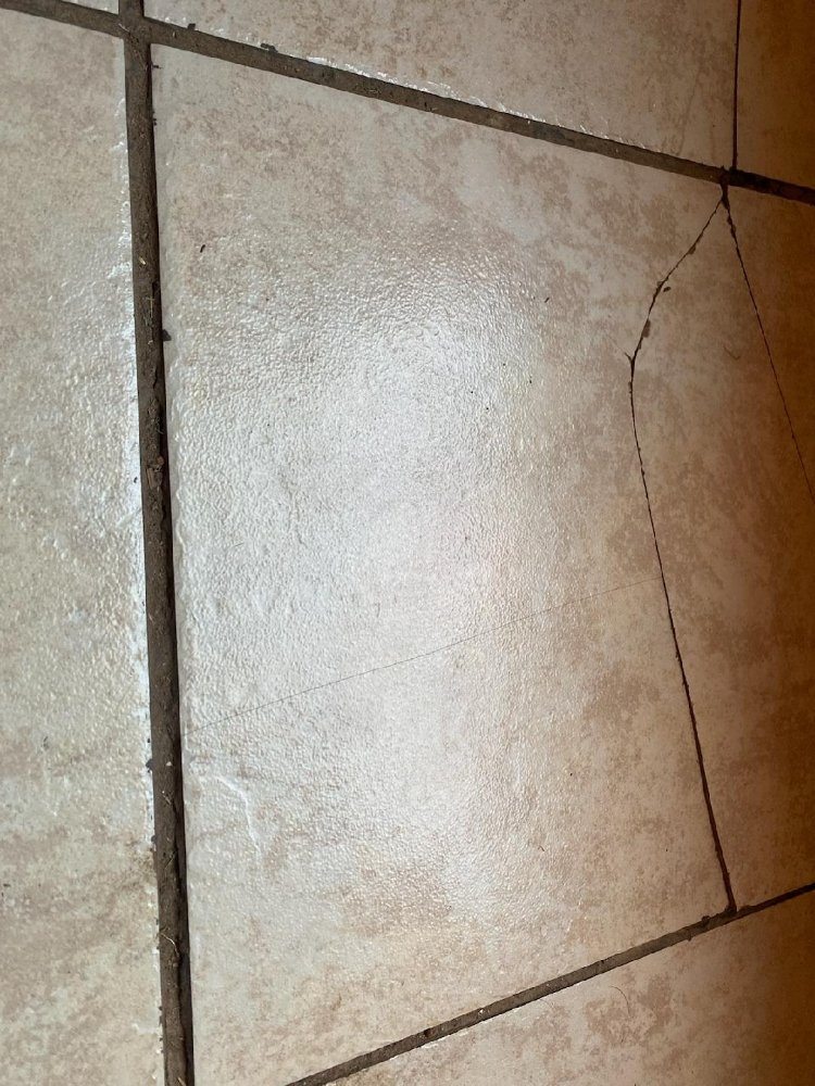 Slide of Steve's Handyman Service