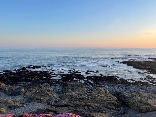 The Tides Inn by null