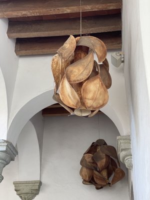 Café Brújula Alcalá | Café de Especialidad de Oaxaca, México by null