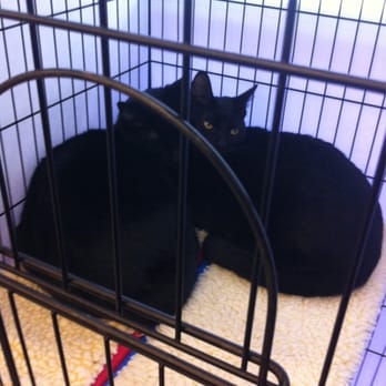 Petco - Pet Stores Near Me - San Jose, California Petco - Pet Stores Near Me - San Jose, California
