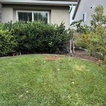 All Access Tree Care - Yard after tree removal - Tree Services Near Me - El Cajon, California