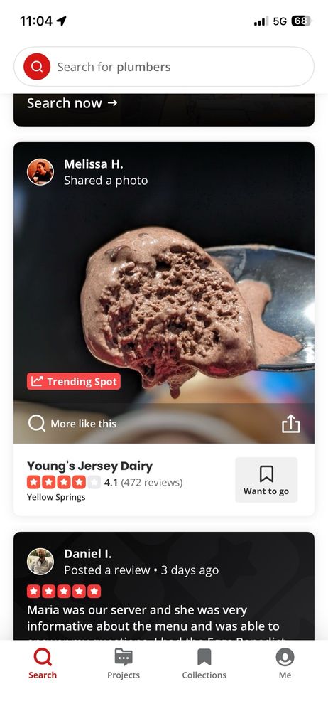 Young's Jersey Dairy