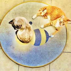 At Home - "Bunny Kitty & Skippers love their Bee Rug!" Skippers got it by the tail. Had to get a second one as a back up. Thanks At Home! Meow! xx