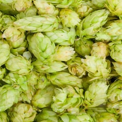 From The Barrel - Fresh Ingredients