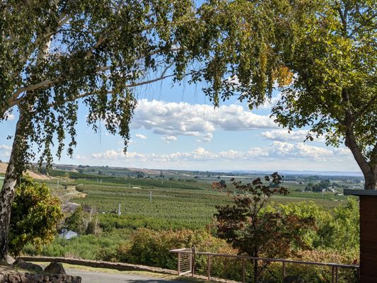Freehand Cellars by null