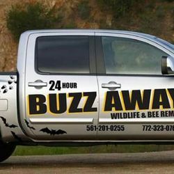 Buzz Away Wildlife Carolinas