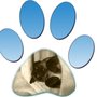 Susy's Pet Care