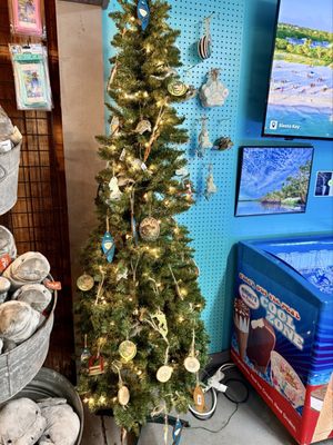 Manatee Springs by null