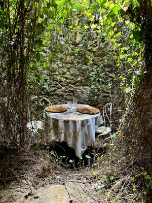 Château de la Bourdaisière by null