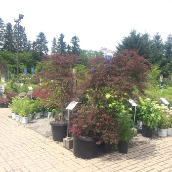 Sheridan Nurseries Etobicoke - Nurseries & Gardening Near Me - Mississauga, Ontario Sheridan Nurseries Etobicoke - Nurseries & Gardening Near Me - Mississauga, Ontario