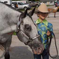 Highland Veterinary Clinic