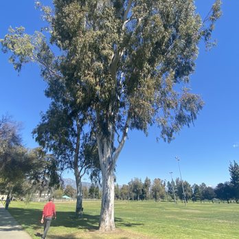 Almansor Park - Parks Near Me - Alhambra, California