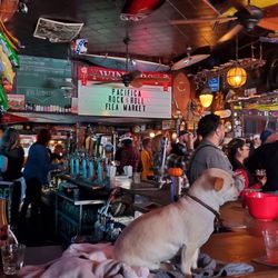Winters Tavern - Bar