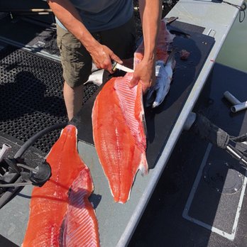 Stout Fish - Fishing Near Me