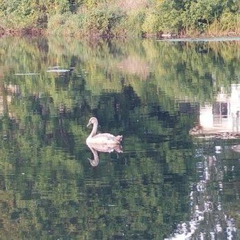 La Cantina - lake across the road - Pizza Near Me - Paw Paw, Michigan