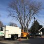 Photo of Mr Tree