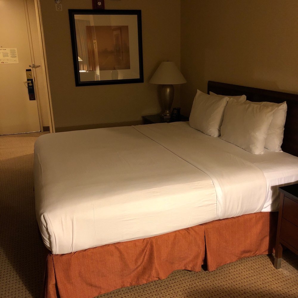 Hilton Chicago O'Hare Airport - Standard room - Hotels Near Me - Chicago, Illinois